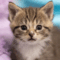 Willow